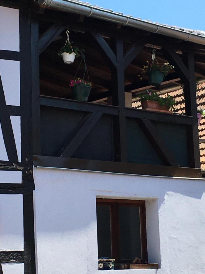 Bienvenue En Alsace Apartment Huttenheim Bagian luar foto